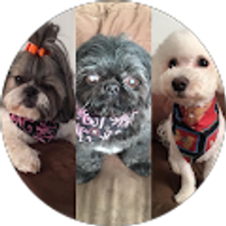 Profile photo of Frances Ng