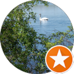 Profile photo of Alyce J McKeeby