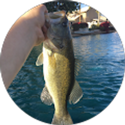 Profile photo of Daniel Chrisman