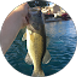 Profile photo of Daniel Chrisman