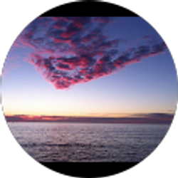 Profile photo of Louie Perez