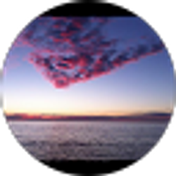 Profile photo of Louie Perez