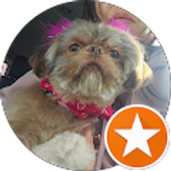 Profile photo of Destiny Lamontagne