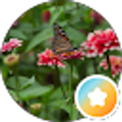 Profile photo of Judy R