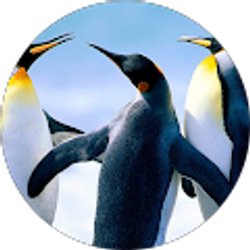 Profile photo of Thomas Kutz