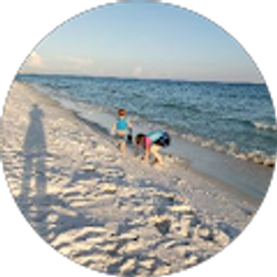 Profile photo of Rett Panda