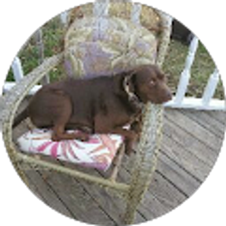 Profile photo of Adam Roberts