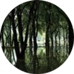 Profile photo of Jozuaa