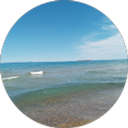 Profile photo of Adina Schutte