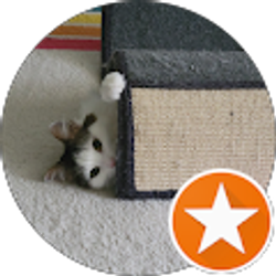 Profile photo of Jennifer Como