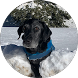 Profile photo of Benjamin Nelson