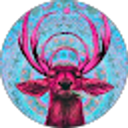 Profile photo of Collin Trapp