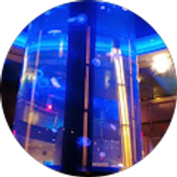 Profile photo of Donetta Harris