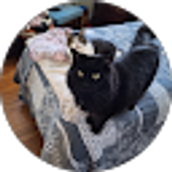 Profile photo of Lynda Guzik