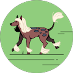 Profile photo of Chelsee Friebe