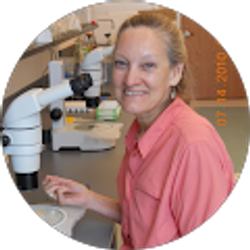 Profile photo of Susan Brooks