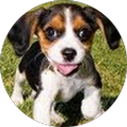 Profile photo of Mary Merkle