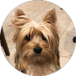 Profile photo of B BH