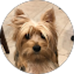 Profile photo of B BH