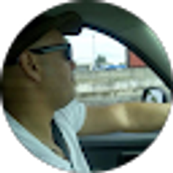 Profile photo of francisco ferreiras