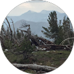 Profile photo of Machelle Baker