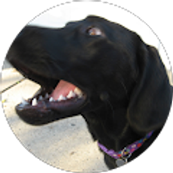 Profile photo of Rebecca Delatorre