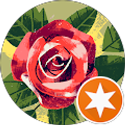 Profile photo of Annette Farrell