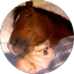 Profile photo of Ethan Tato