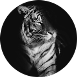 Profile photo of The Dang Fam