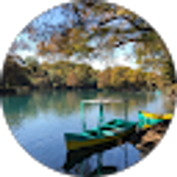 Profile photo of Mario Alvarado