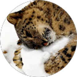 Profile photo of Carla Huggins