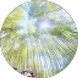 Profile photo of Eugene K