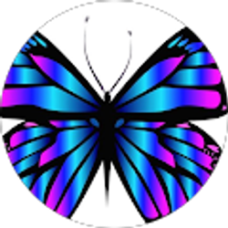 Profile photo of Tracy Wise