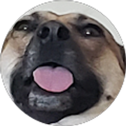 Profile photo of Jeffrey Myosky