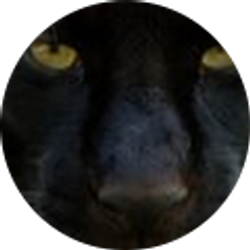 Profile photo of Keith Motter