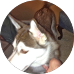 Profile photo of Bob Zimbelman