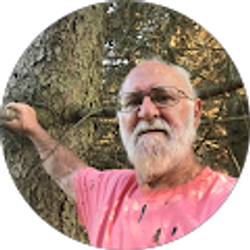 Profile photo of Ron Watkins