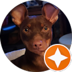 Profile photo of marcia sidell