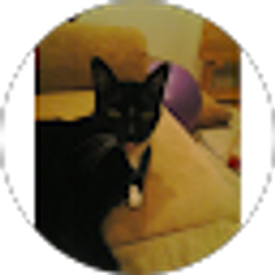 Profile photo of Tammy Shaper