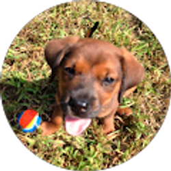 Profile photo of Emily Fox