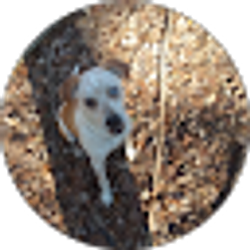 Profile photo of Blade Carr