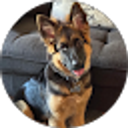 Profile photo of Richard