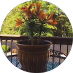 Profile photo of Dabney Jackson