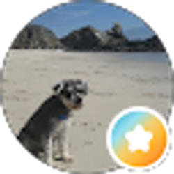 Profile photo of I Pickett