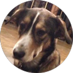 Profile photo of Jack Segal