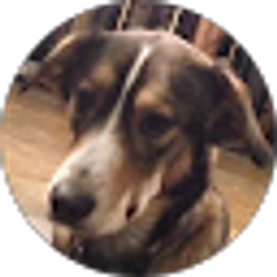 Profile photo of Jack Segal