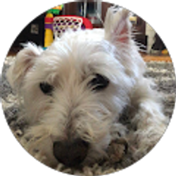 Profile photo of Leah Maryjoe