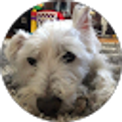 Profile photo of Leah Maryjoe