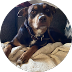 Profile photo of Eddie Alaniz