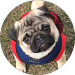 Profile photo of Teresa Locknane